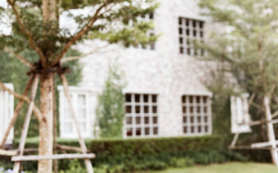 Co zrobić, gdy sąsiad uniemożliwia Ci spokojne korzystanie z Twojej nieruchomości?